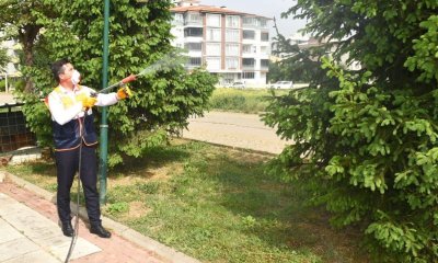 YENİŞEHİR'DE HAŞEREYE KARŞI ETKİLİ MÜCADELE