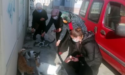 AK Parti Yenişehir İlçe Kadın Kollarından Örnek davranış